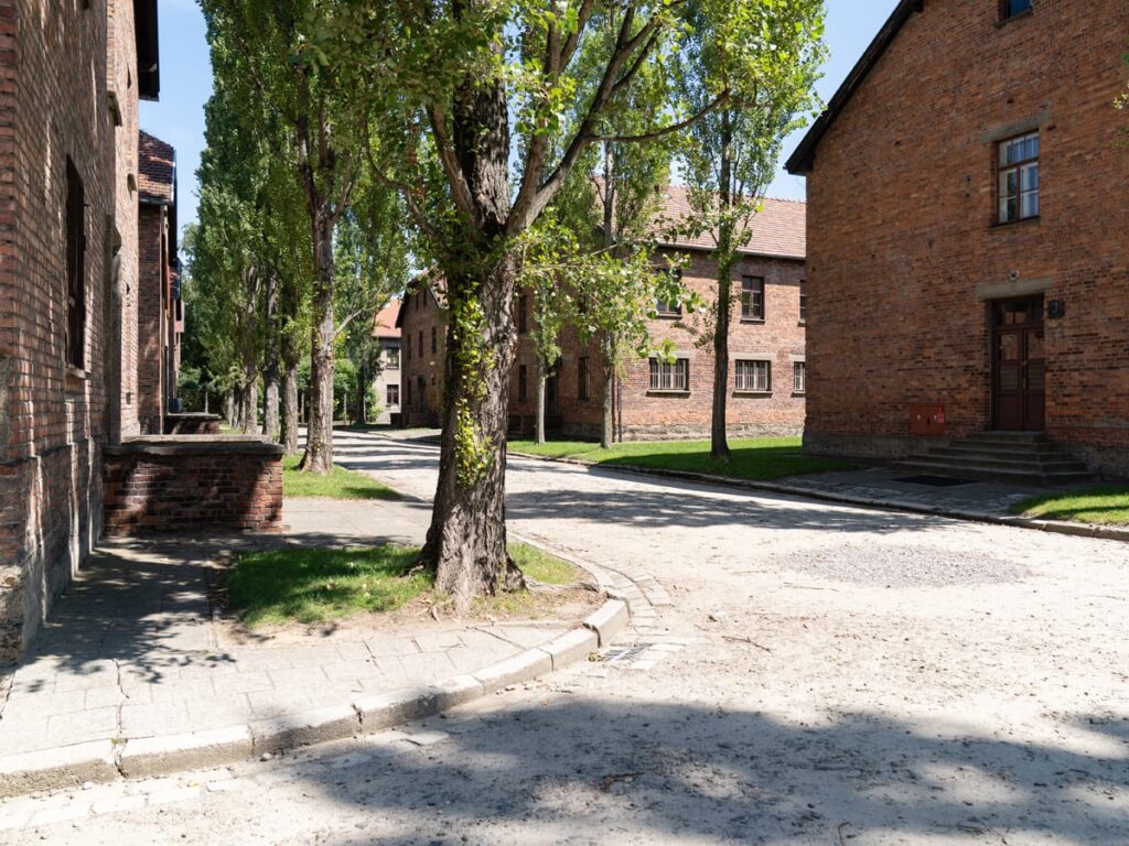 heute Baumgesäumte Straße mit Backsteinblöcken in Auschwitz I, bis zu 1000 Häftlinge pro Block