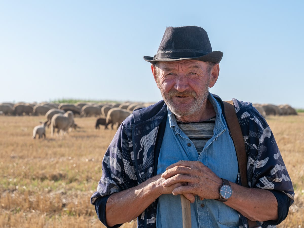 Porträt eines rumänischen Schäfers bei Abramut in Rumänien, seine Herde zieht am frühen Morgen am Camper vorbei – Szene einer Wohnmobilreise