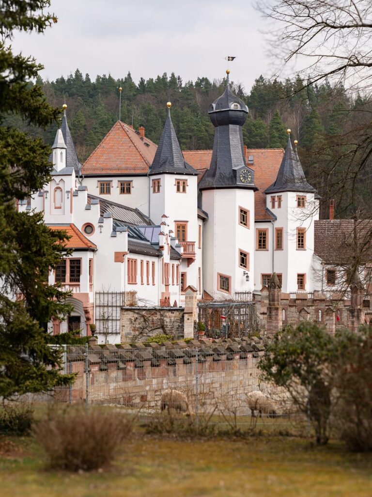 Frontale Ansicht von Schloss Fröhliche Wiederkunft mit Türmen und neugotischen Fenstern.