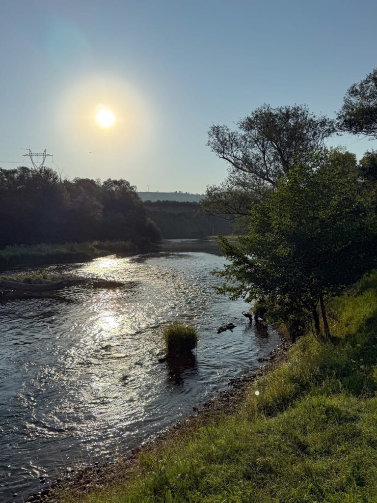Die aufgehende Sonne über dem Fluss Strei bei Bacia, Rumänien – glitzerndes Wasser, stille Natur