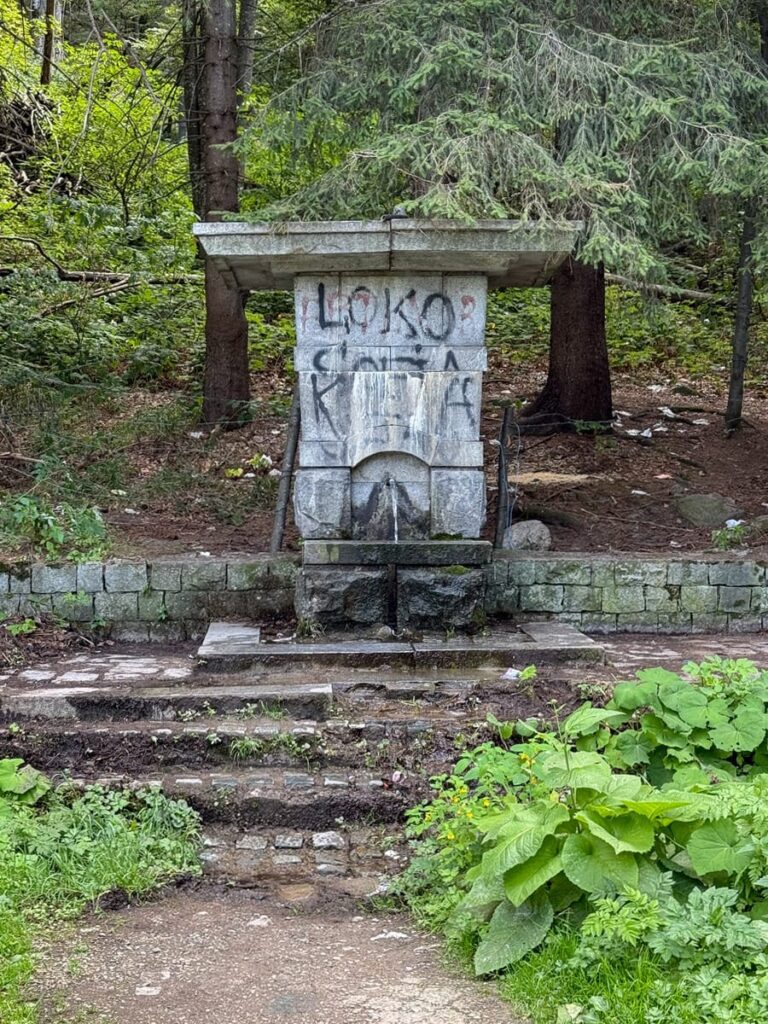Frisches Wasser aus einer Quelle in Bulgarien