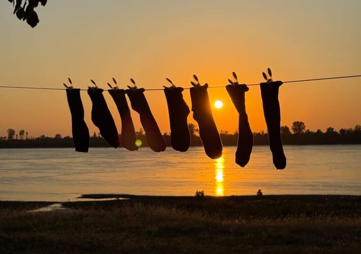Camper unter einem großen Baum am Ufer der Donau bei Sonnenuntergang in Maglavit.