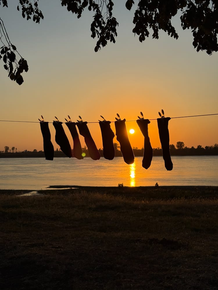 Camper unter einem großen Baum am Ufer der Donau bei Sonnenuntergang in Maglavit.