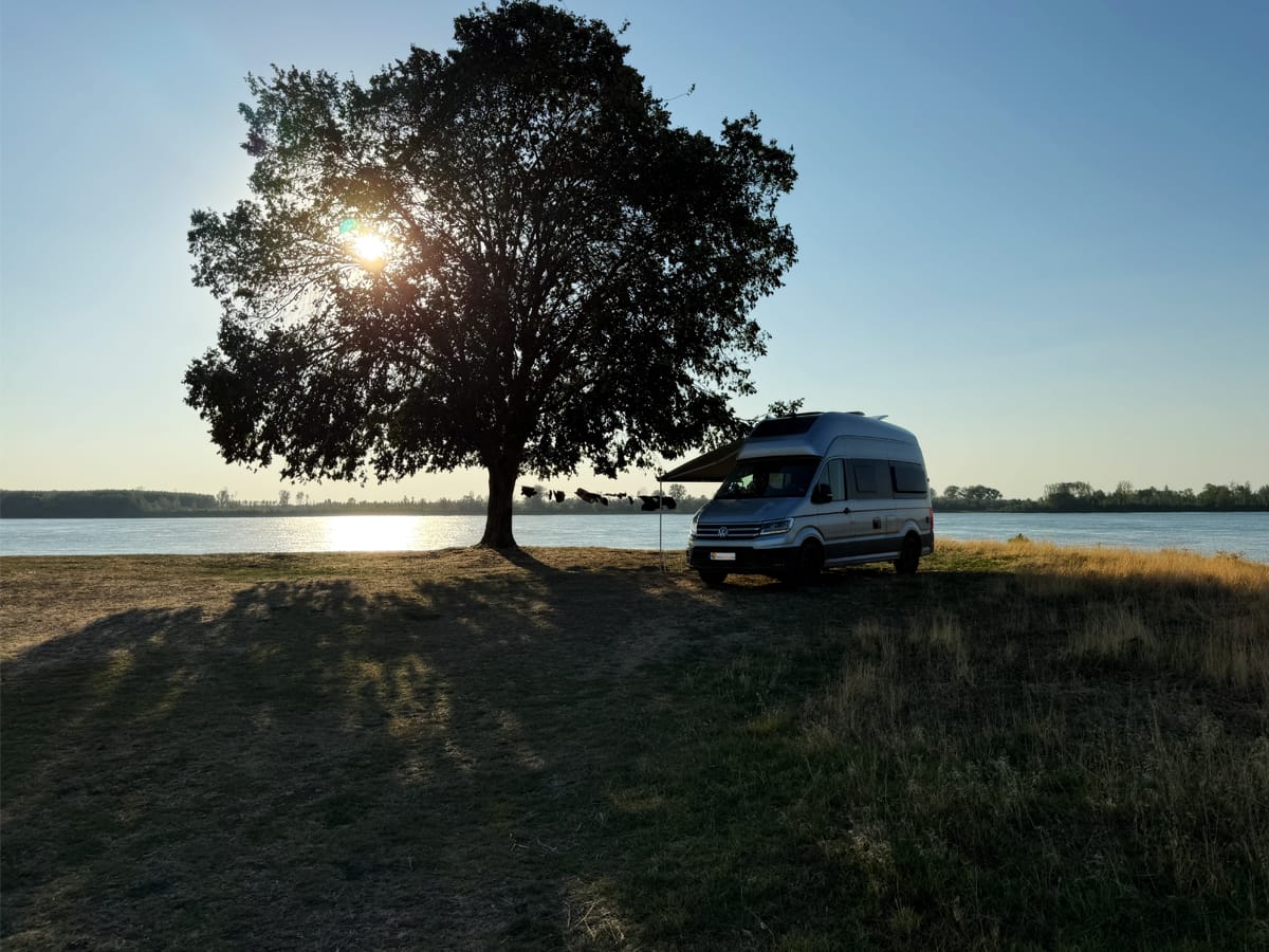 Camper unter einem großen Baum am Ufer der Donau bei Sonnenuntergang in Maglavit