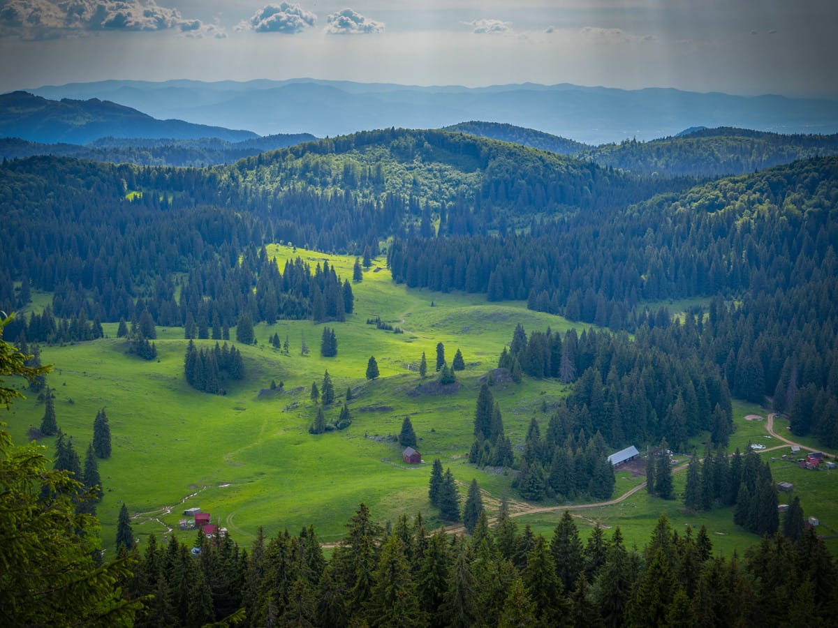 Karstlandschaft und bewaldete Hochflächen im Apuseni-Naturpark bei Padiș in Rumänien
