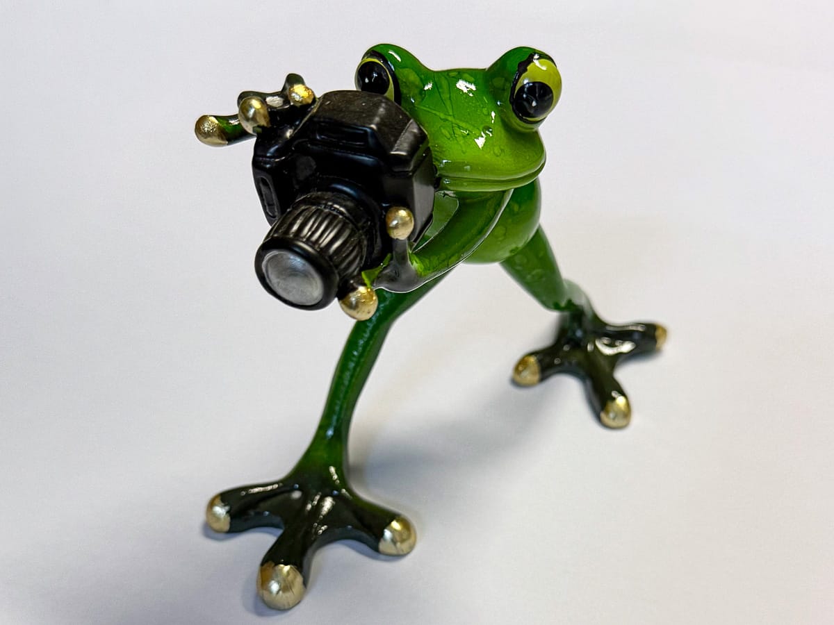 Grüner Deko-Frosch mit Kamera als persönliches Souvenir aus Krakau