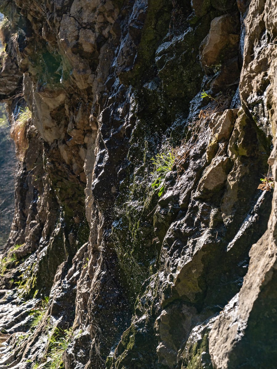 Wassertropfen an der Felswand in der Cheile Turzii Schlucht