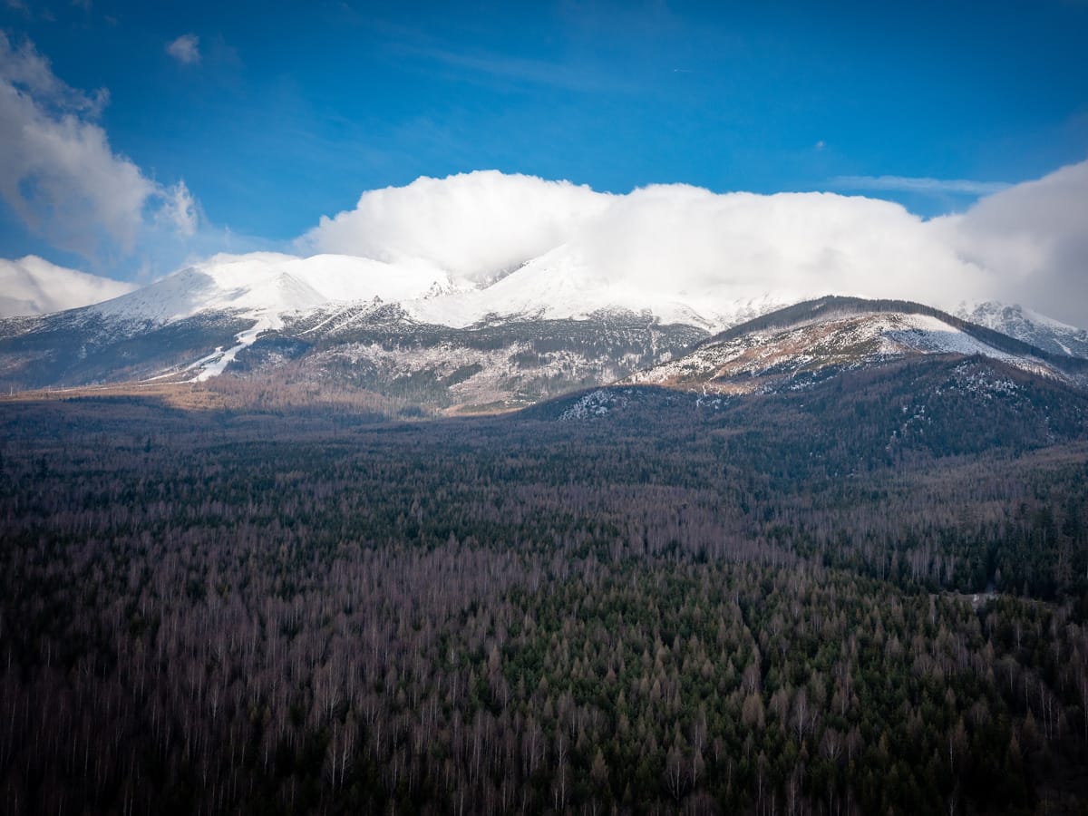 Blick auf die verschneiten Berge der Hohen Tatra beim Frühstück in der Slowakei