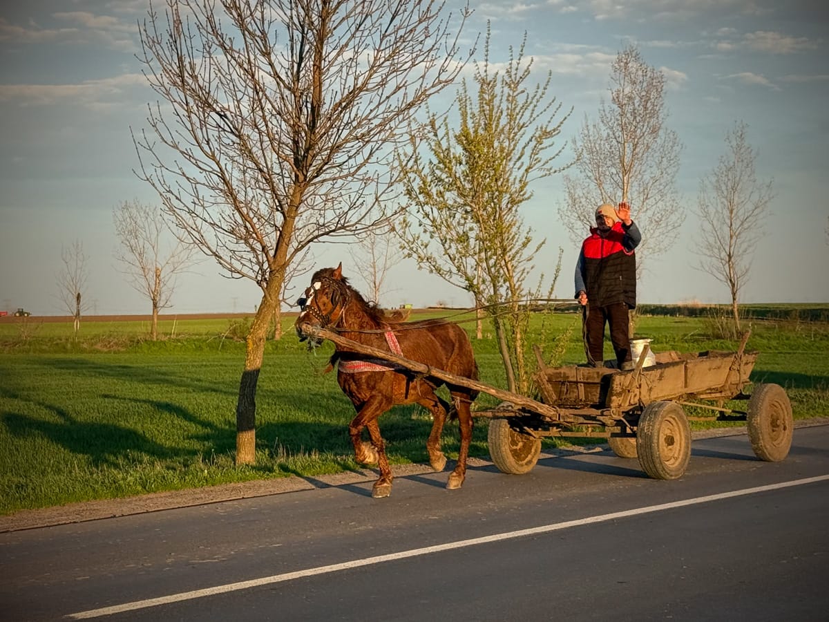Mann auf Pferdewagen hebt die Hand auf Landstraße in Rumänien