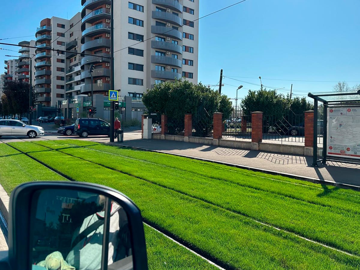 Straßenbahn fährt auf begrüntem Gleisbett in Oradea