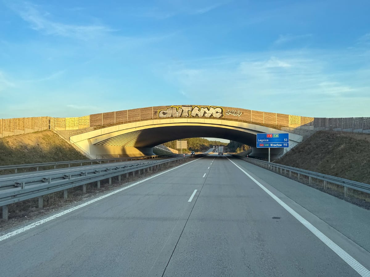 Wildbrücke über eine Autobahn in Polen zur sicheren Querung für Tiere