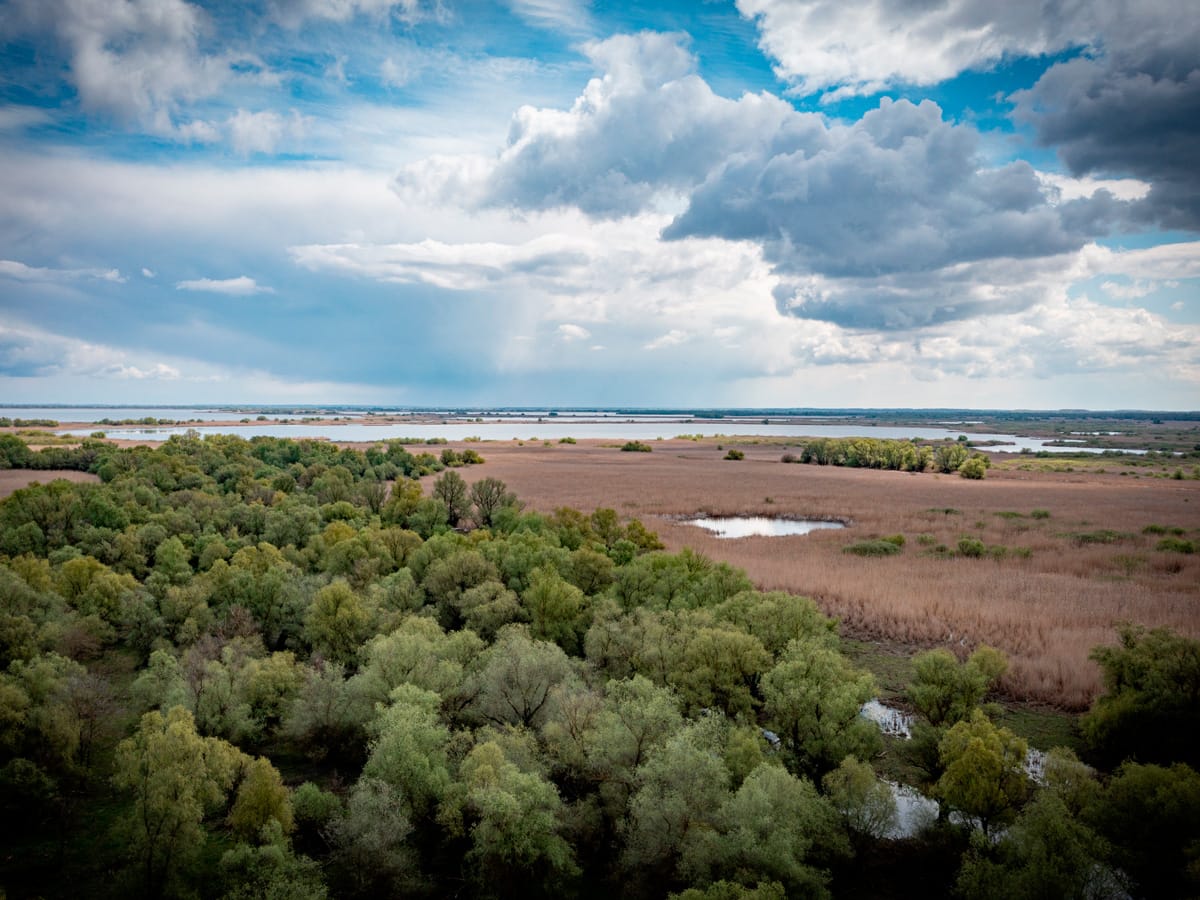 Weite Landschaft des Donaudeltas aus der Luft mit Schilf, Wasserflächen und Wolkenhimmel