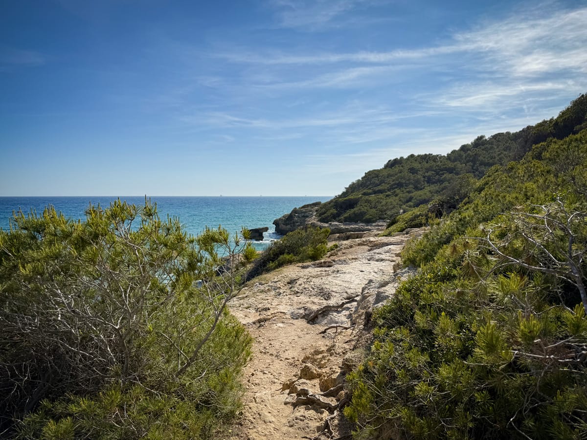 Küstenpfad im Pinienwald des Bosc de la Marquesa bei Tamarit im Natura-2000-Gebiet an der Costa Dorada