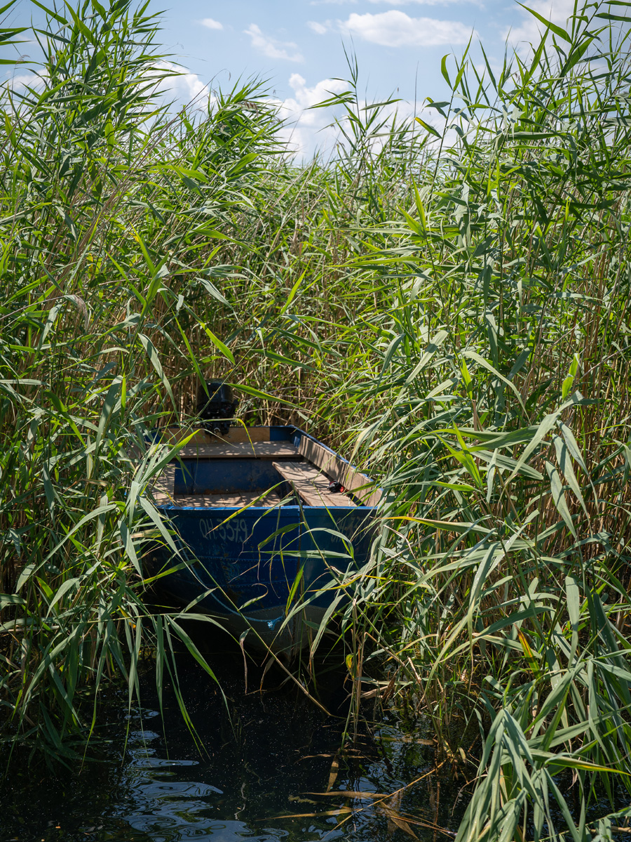 Kleines Boot im Schilf am Ufer des Ohridsees