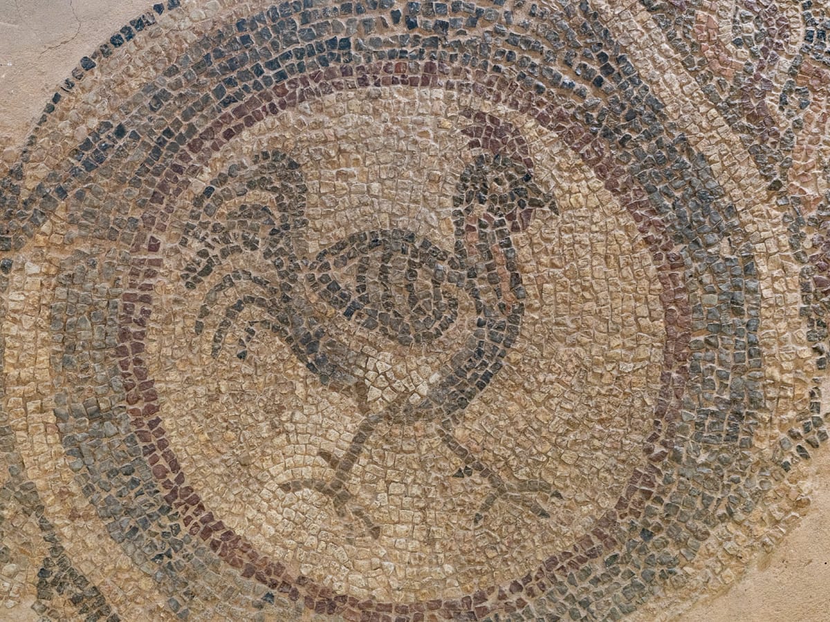 Frühchristliches Bodenmosaik mit Vogeldarstellung in der Ausgrabungsstätte Plaošnik in Ohrid