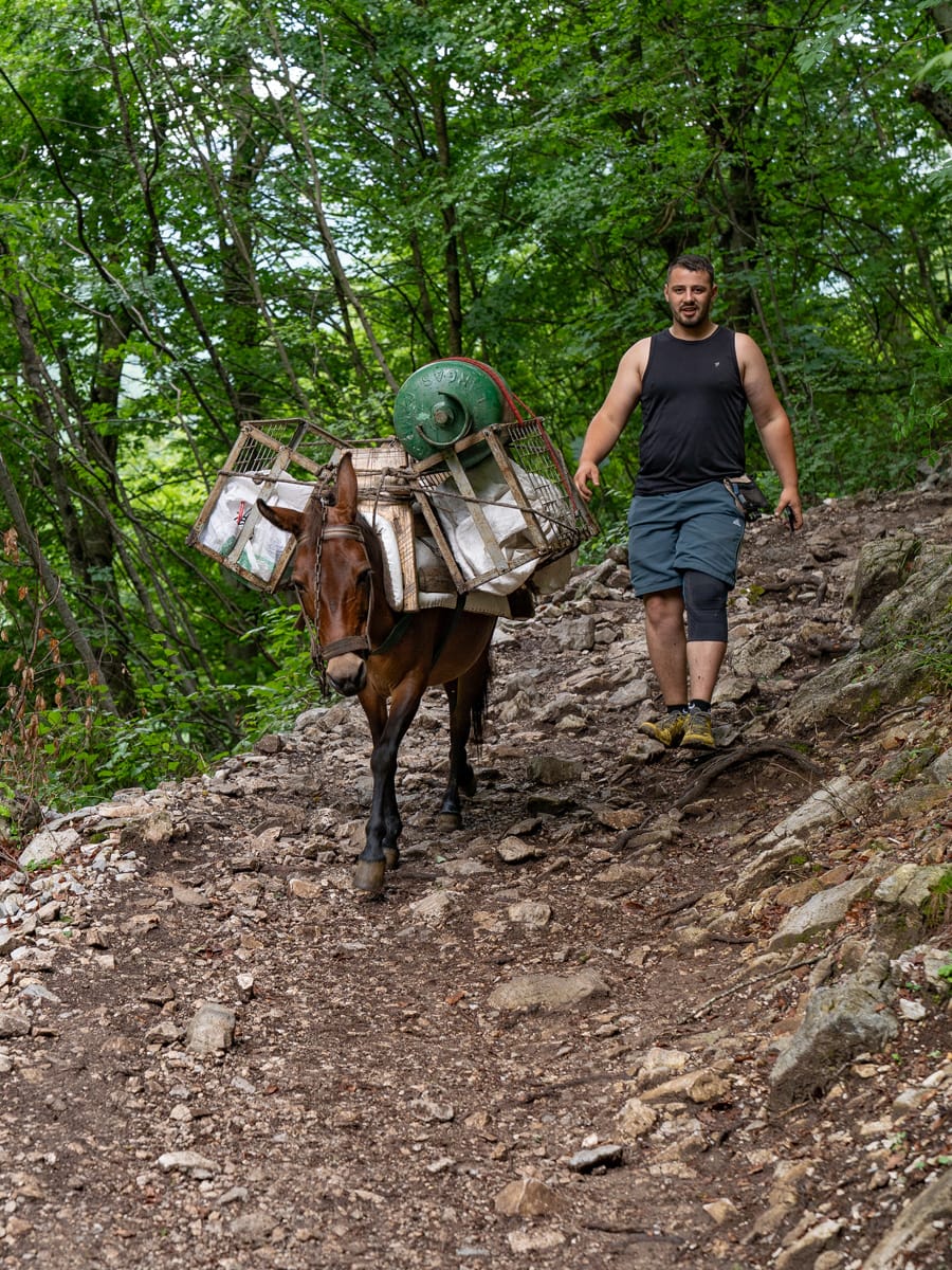 Packesel transportiert Getränke und Waren auf dem Wanderweg zum Blue Eye in Albanien.