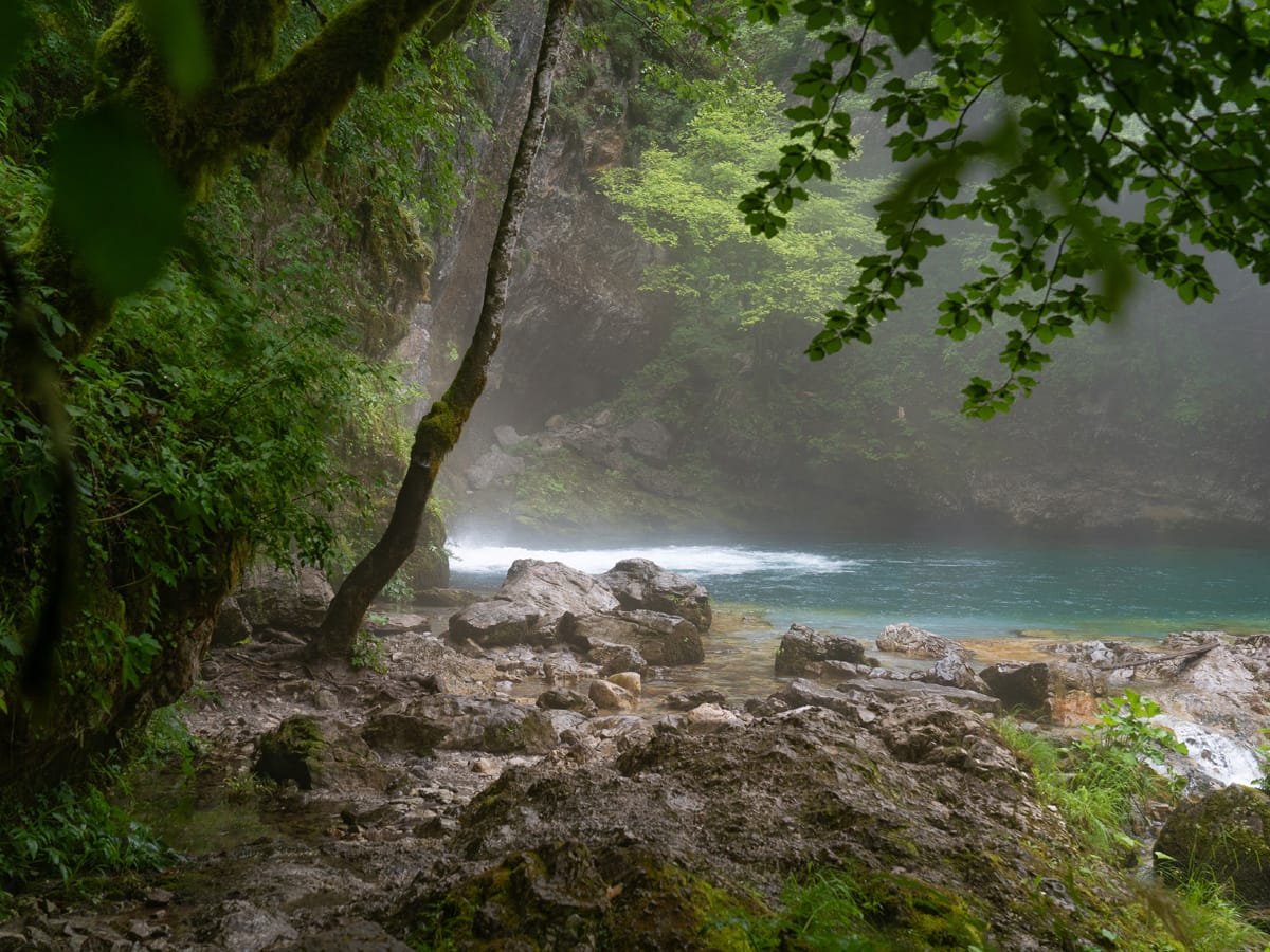 Vermooste Bäume und türkisfarbenes Wasser am Blue Eye bei Nderlysaj in Albanien.