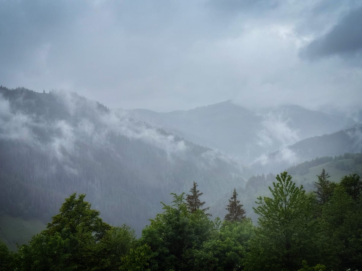 Morgennebel zieht durch die Wälder und Täler des Apuseni-Gebirges bei Gârda de Sus in Siebenbürgen.