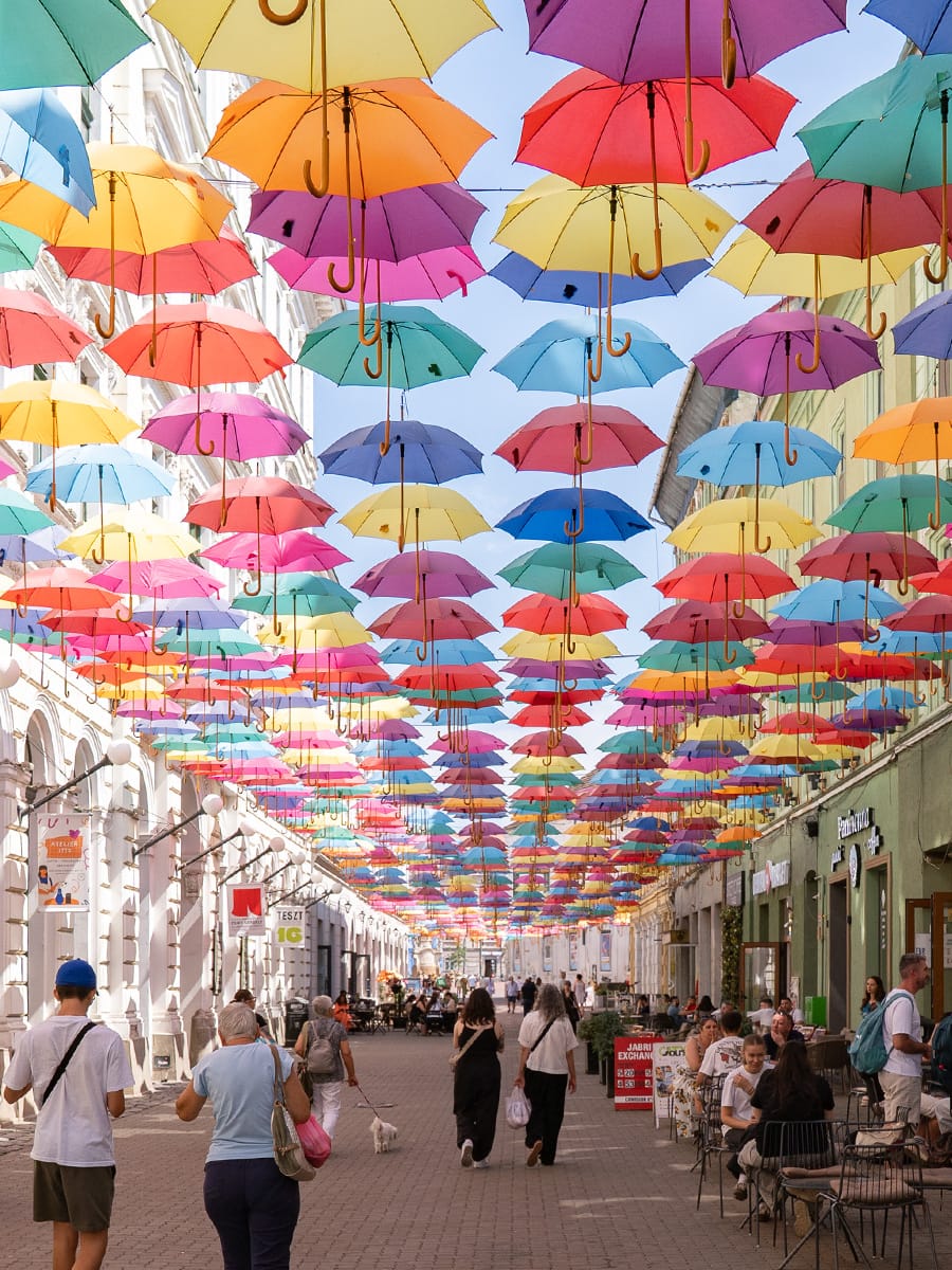 Bunte Regenschirme über der Strada Alba Iulia in Timișoara